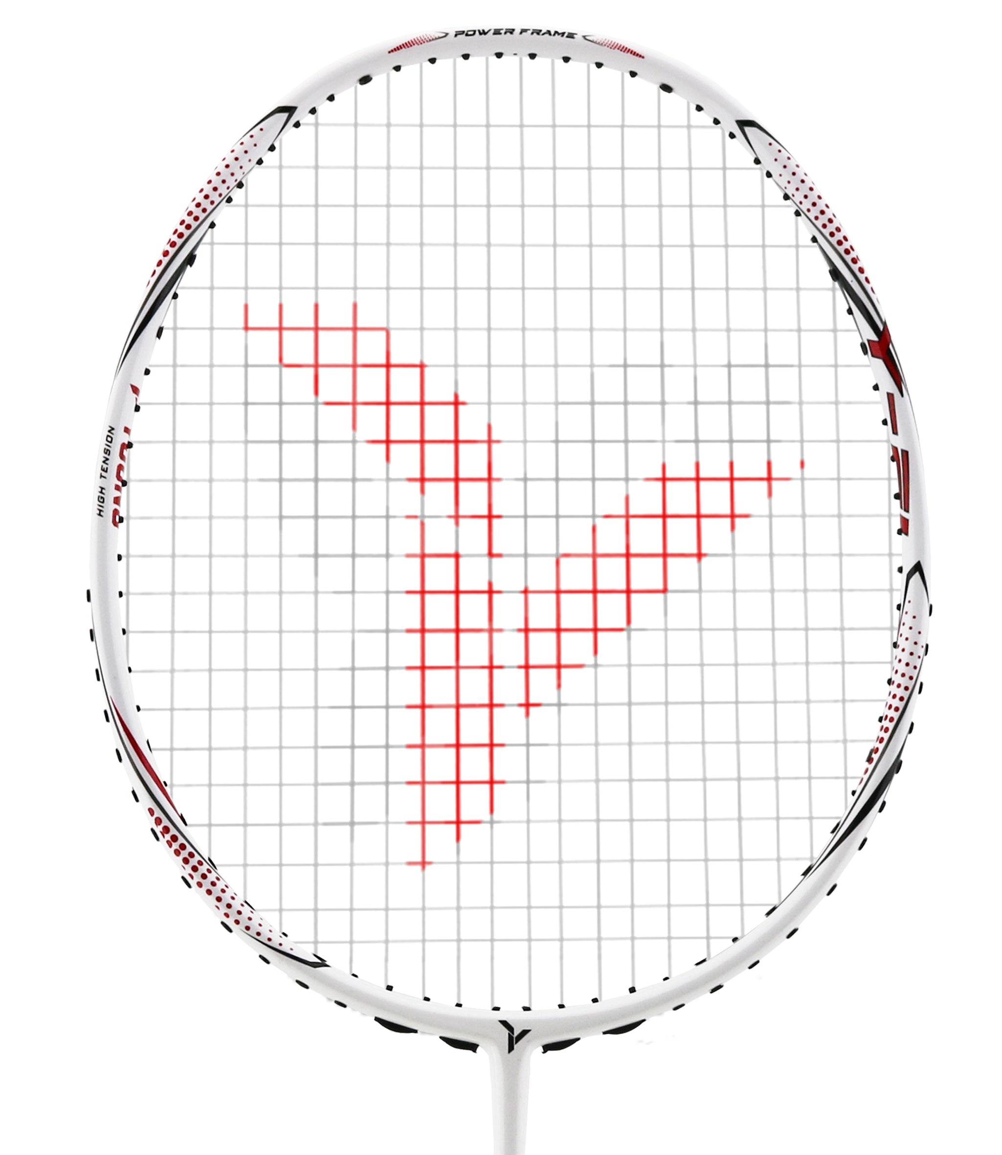 YANG Y-FLASH 7 I POWER RACKETS - COLORS