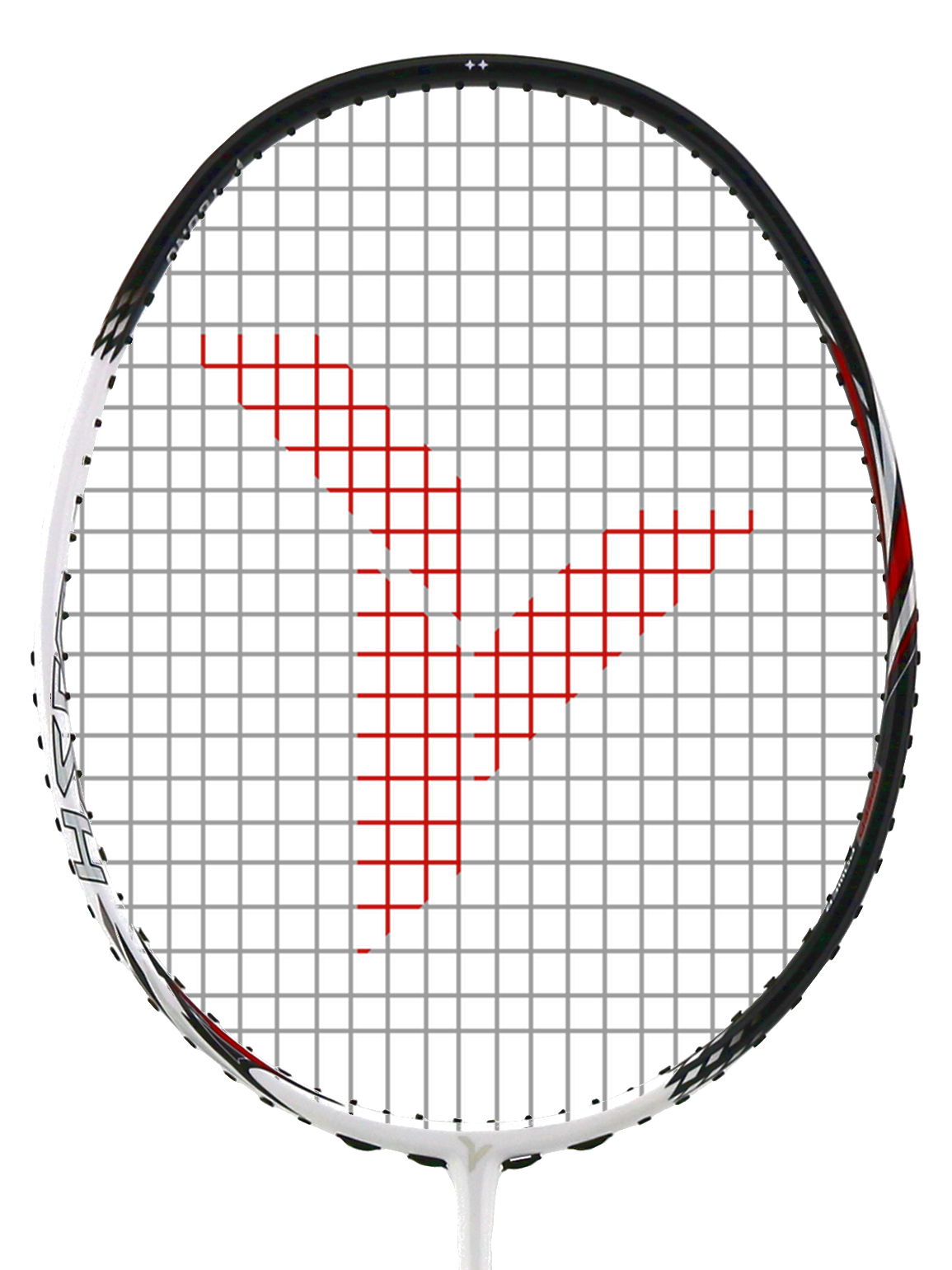 YANG YOUNG Y-FLASH 30 RACKETS - COLORS 